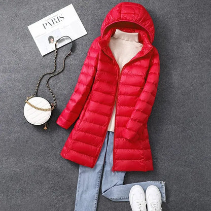 Elegantly Designed Jacket
