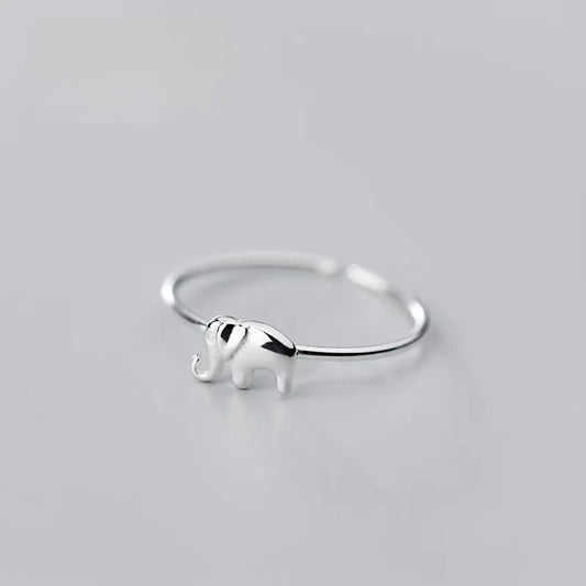 Beautiful Silver Ring with Unique Style