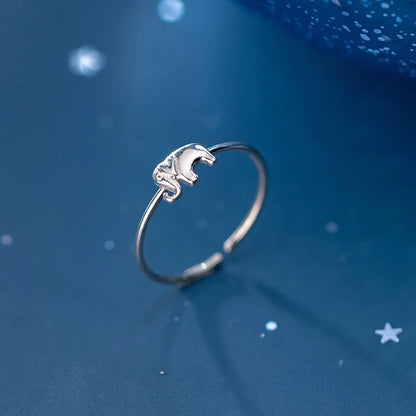 Beautiful Silver Ring with Unique Style