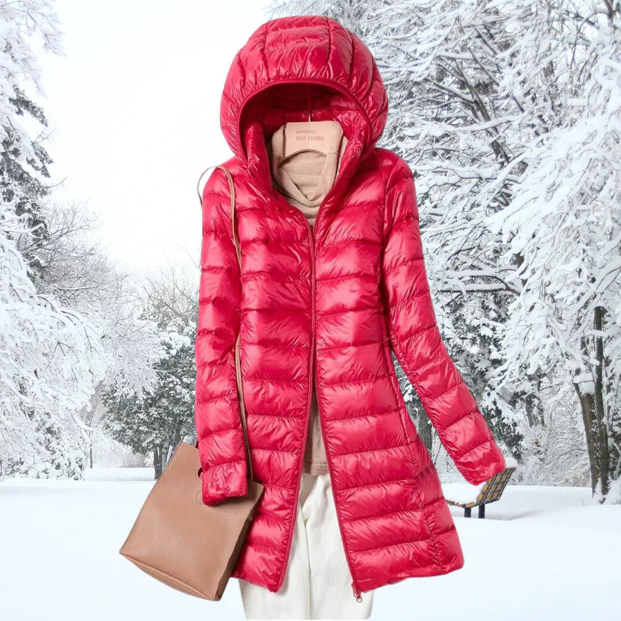 Beautifully Crafted Jacket