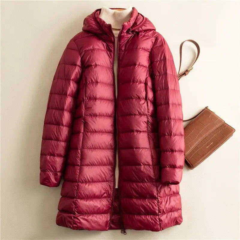 Elegantly Designed Jacket