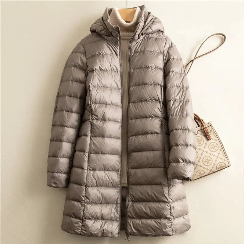 Elegantly Designed Jacket