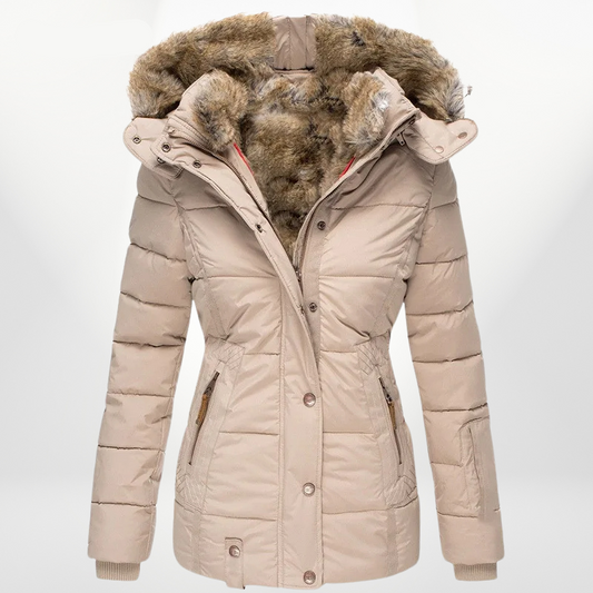 Classic Designed Jacket