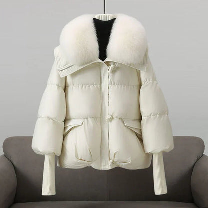 Thoughtfully Designed Jacket