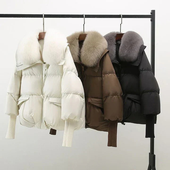Elegantly Designed Jacket