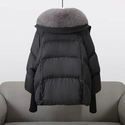 Elegantly Designed Jacket
