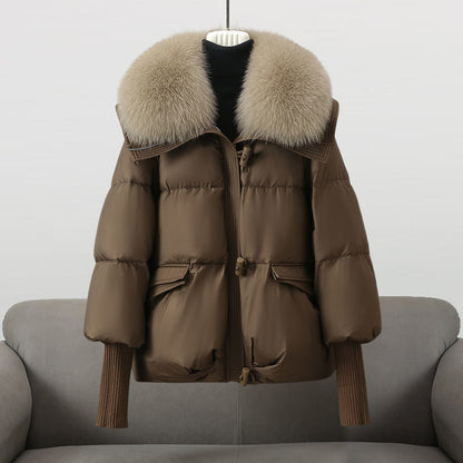 Gracefully Designed Jacket