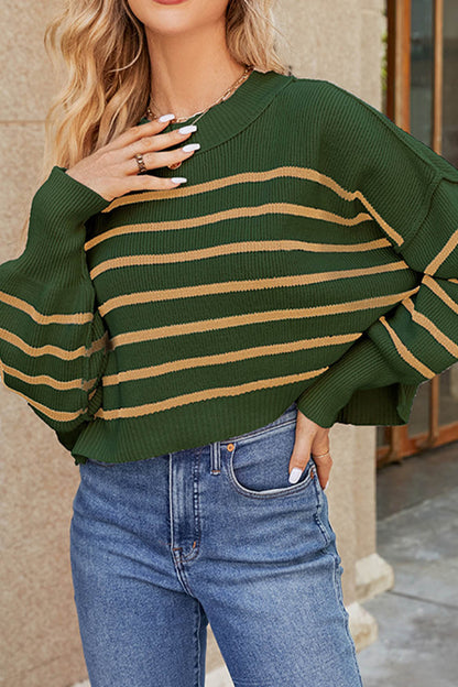 Elegantly Designed Sweater