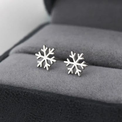 Stunning Silver Earring for Daily Wear
