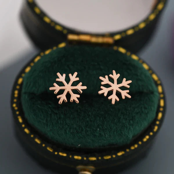 Stunning Silver Earring for Daily Wear