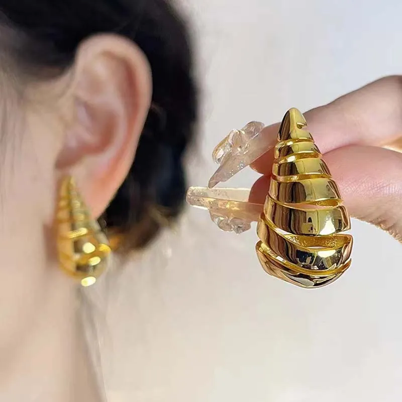 Charming Earring for Any Occasion