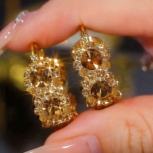 Inlaid Zirconia Sparkling Earrings