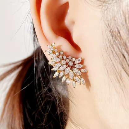 Beautiful Earring with Unique Style