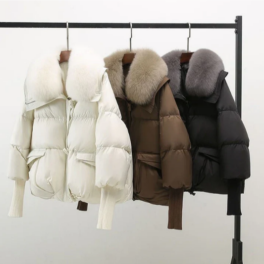 Elegantly Designed Jacket