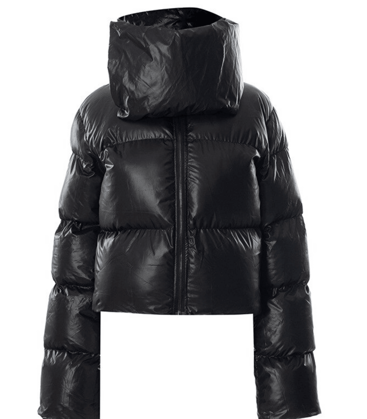Elegantly Designed Jacket