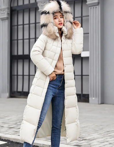 Elegantly Designed Jacket